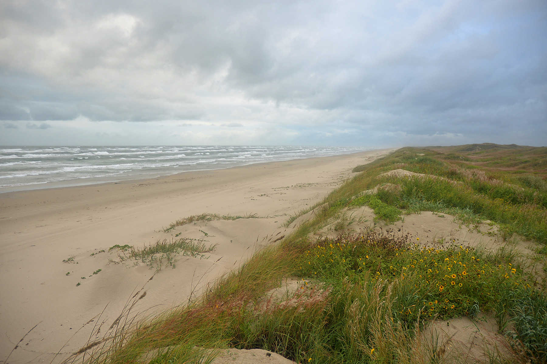 Padre Island, Corpus Christi